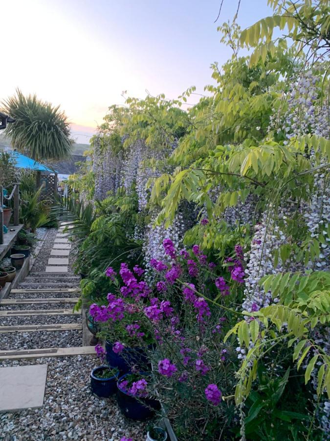 Апартаменты Stargazy Garden Хейл Экстерьер фото